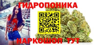 скорость Гагарин