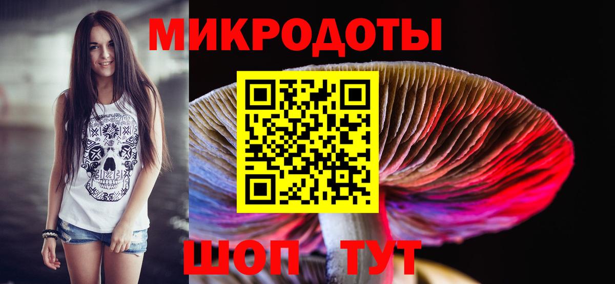 Псилоцибиновые грибы мицелий  Вход с VPN  Набережные Челны  Галлюциногенные грибы Psilocybe 